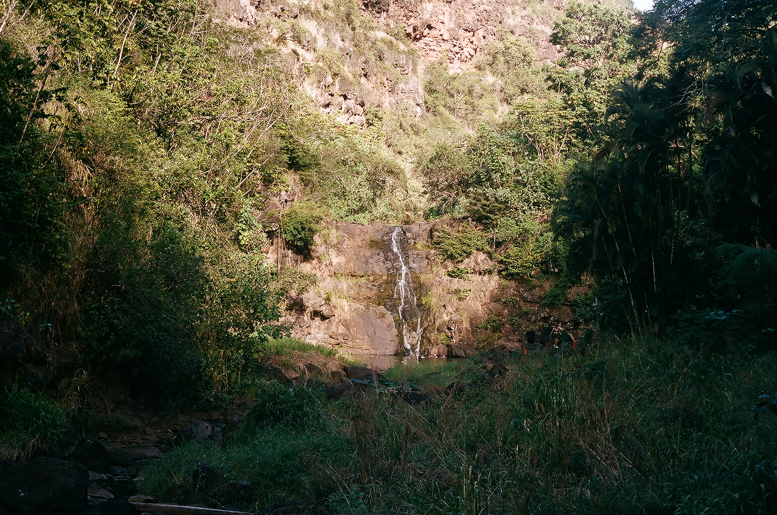 Photograph — Honolulu, Hawaii