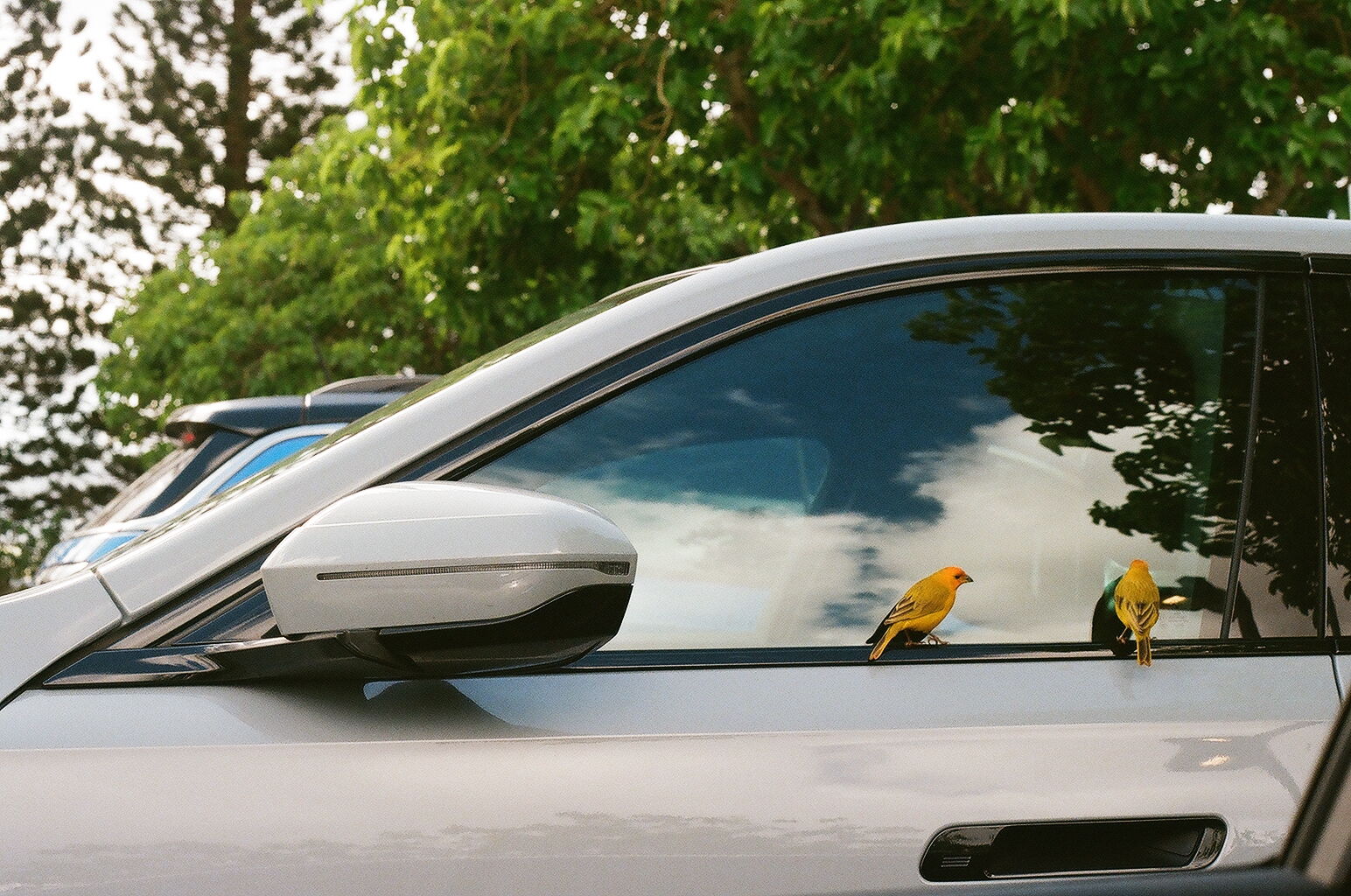 Photograph — Honolulu, Hawaii