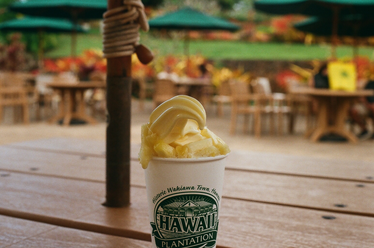 Cup of pineapple soft serve topped with fresh pineapple at an outdoor plantation cafe