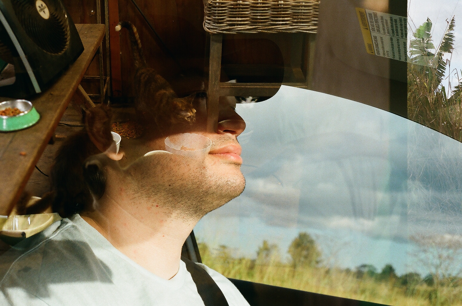 A man dozing behind a car window, reflections of a porch and cat overlapping his face