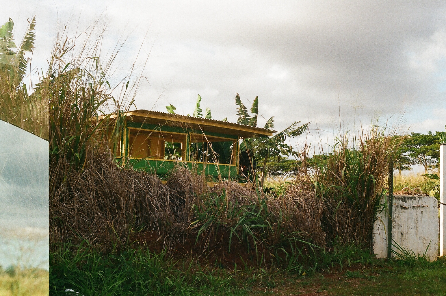 Photograph — Honolulu, Hawaii