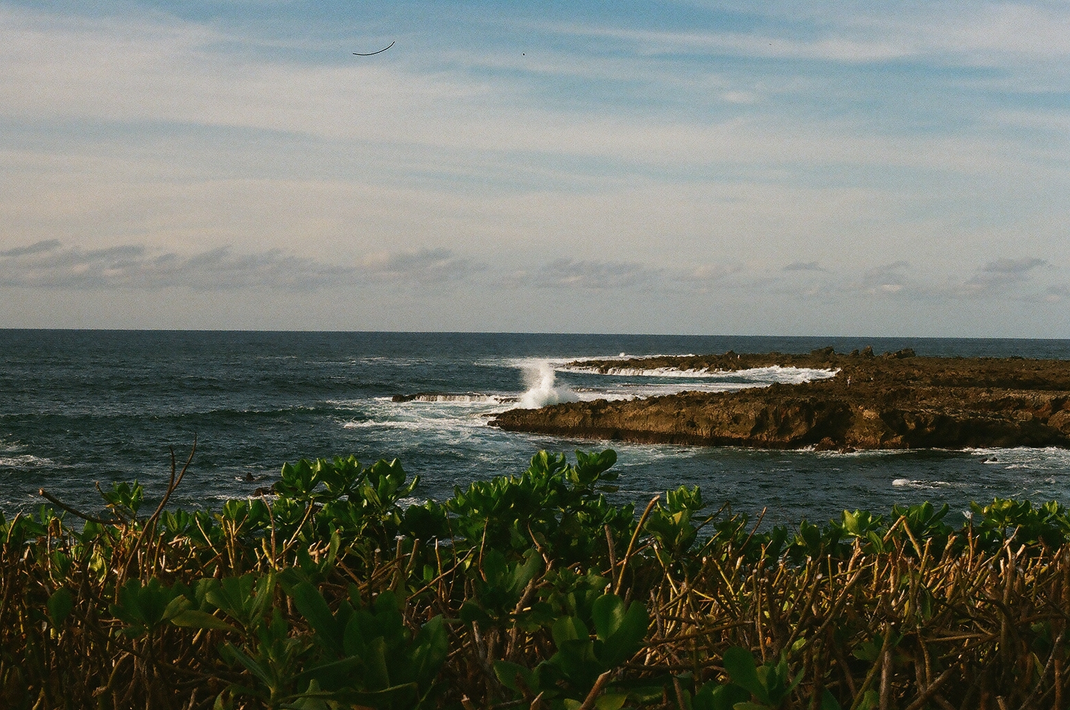 Photograph — Honolulu, Hawaii