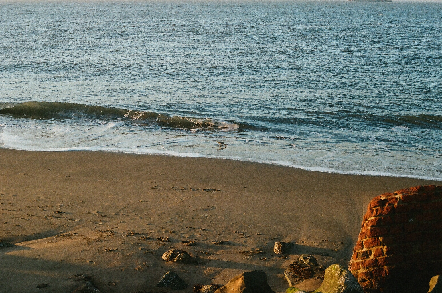 Photograph — San Francisco, CA