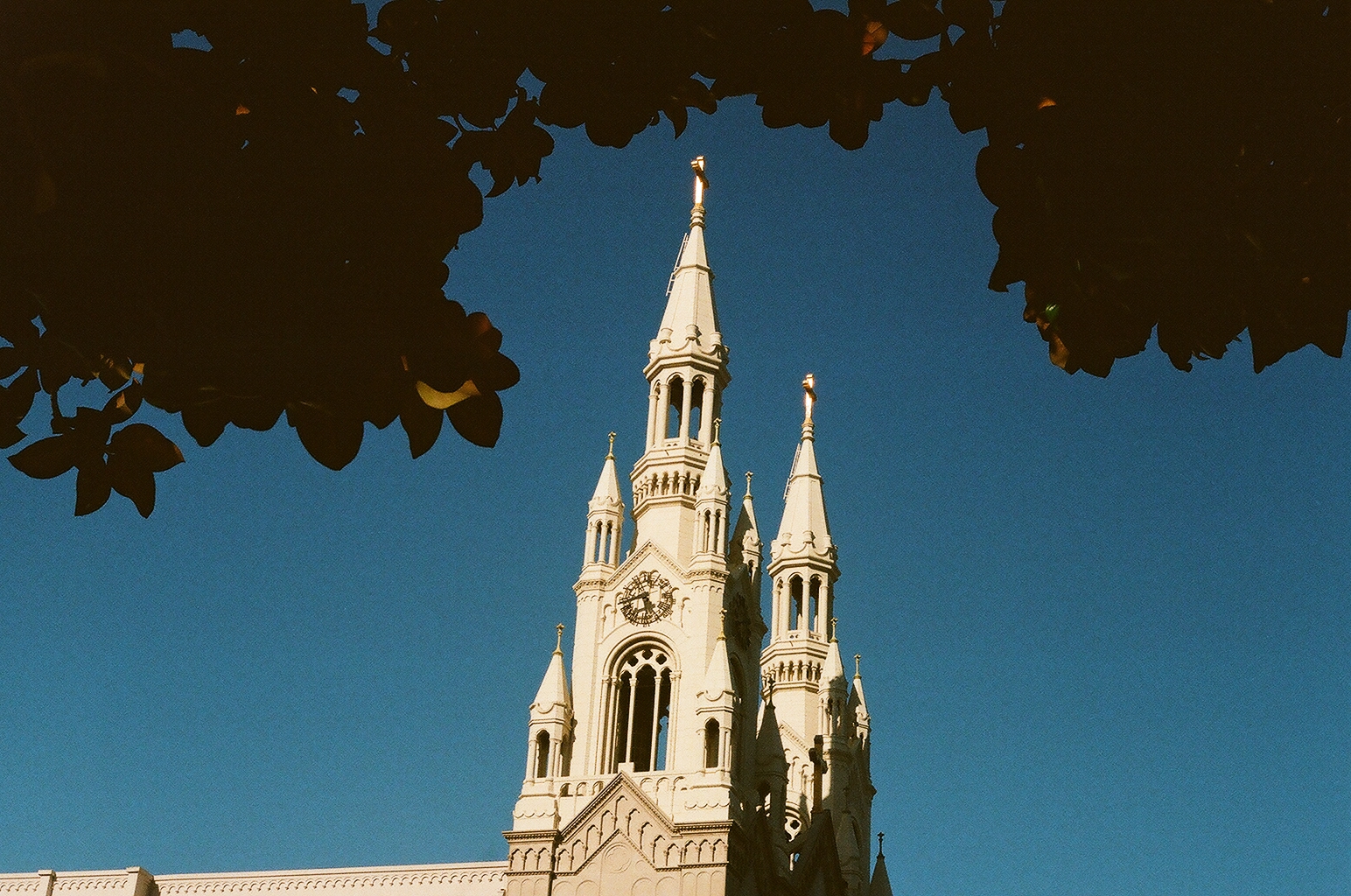 Twin spires of Saints Peter and Paul Church framed by dark overhanging leaves