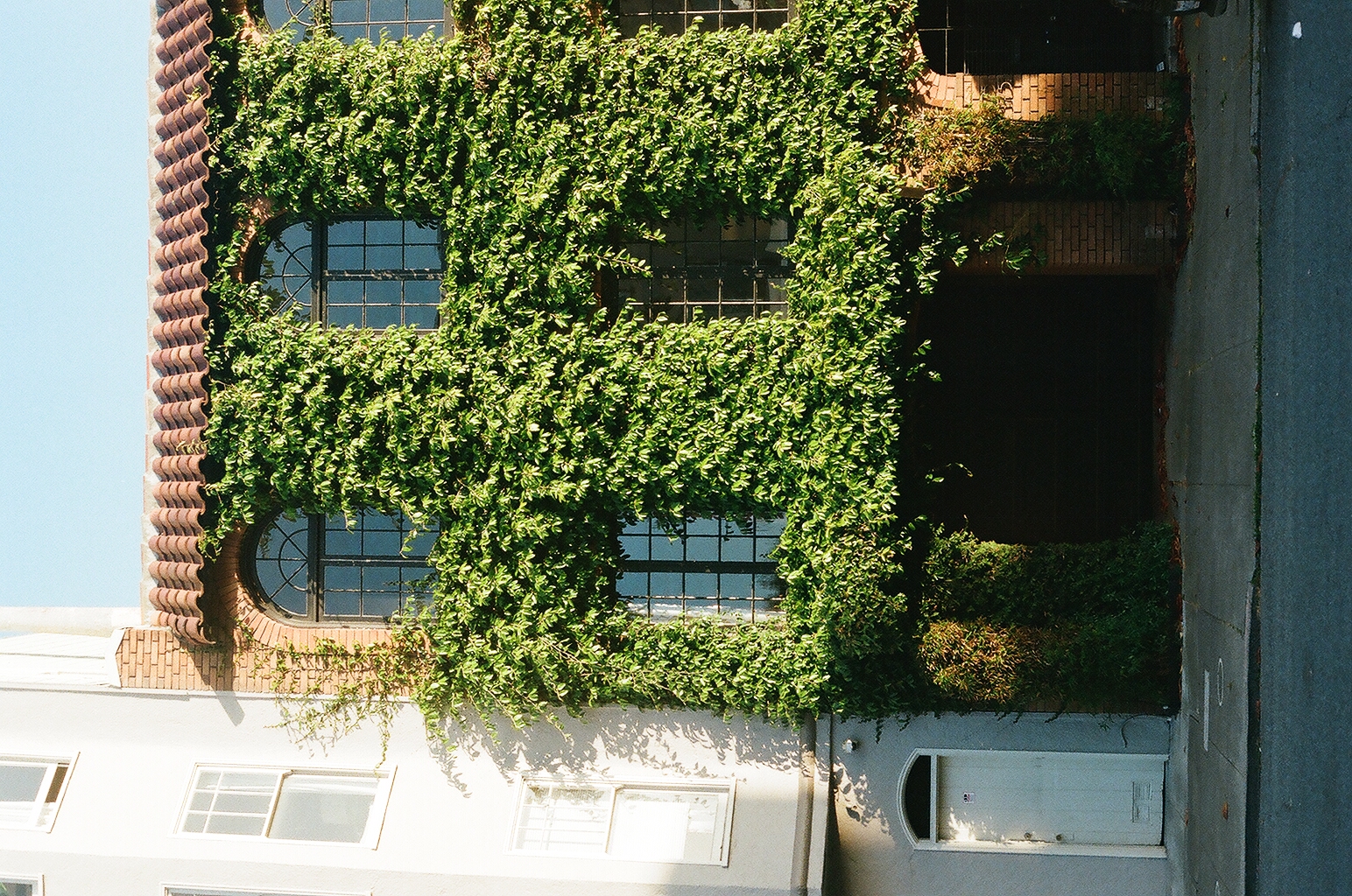Ivy climbing a brick facade around arched leaded-glass windows