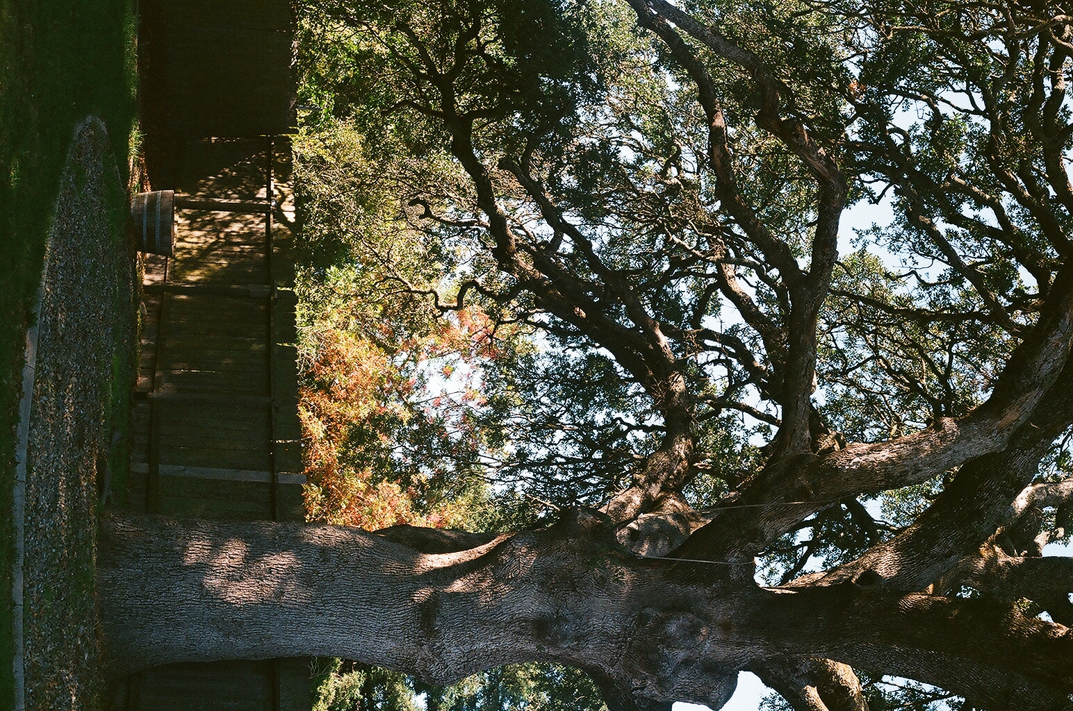 Photograph — Sacramento, CA