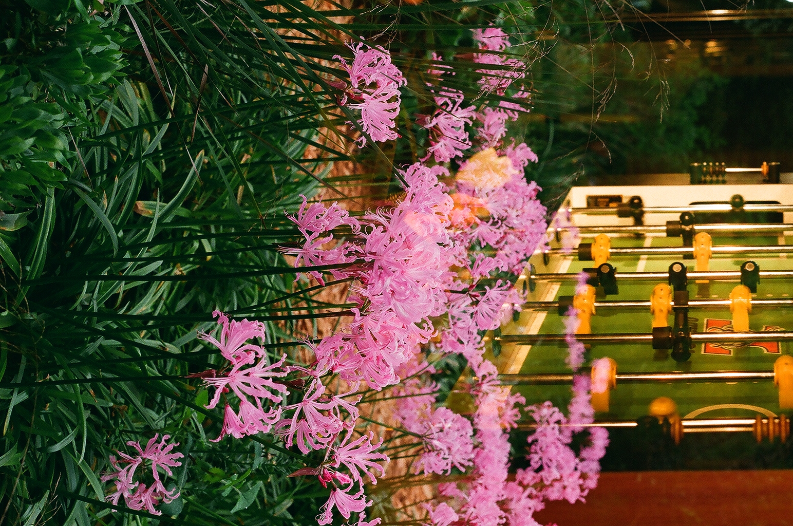 Photograph — San Francisco, CA