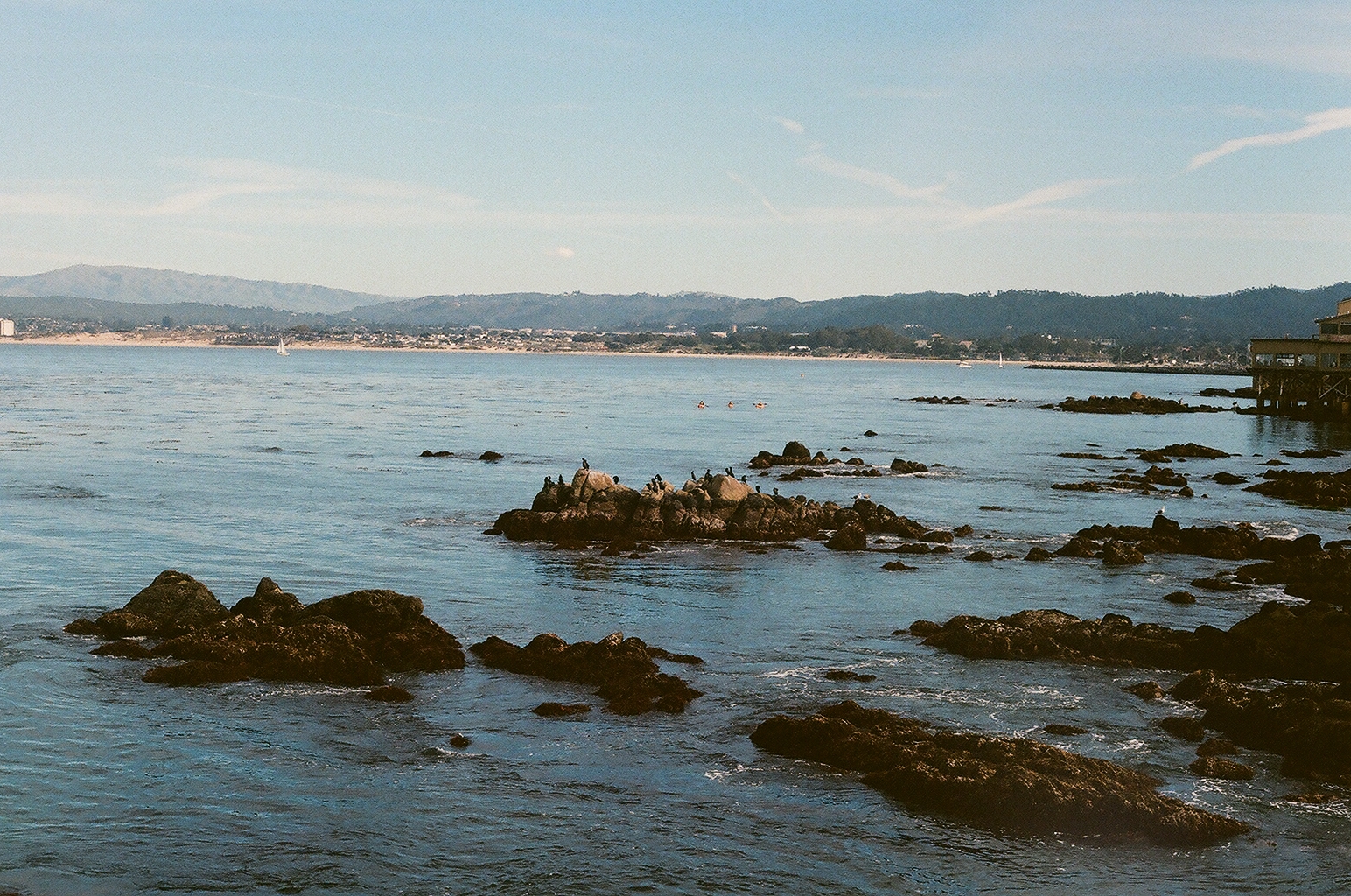 Cormorants gathered on dark rocks in Monterey Bay, kayakers and hills in the distance