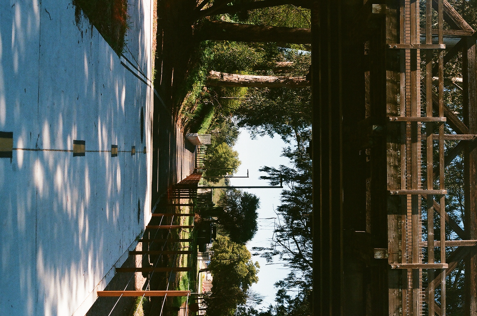 Photograph — Santa Cruz, CA