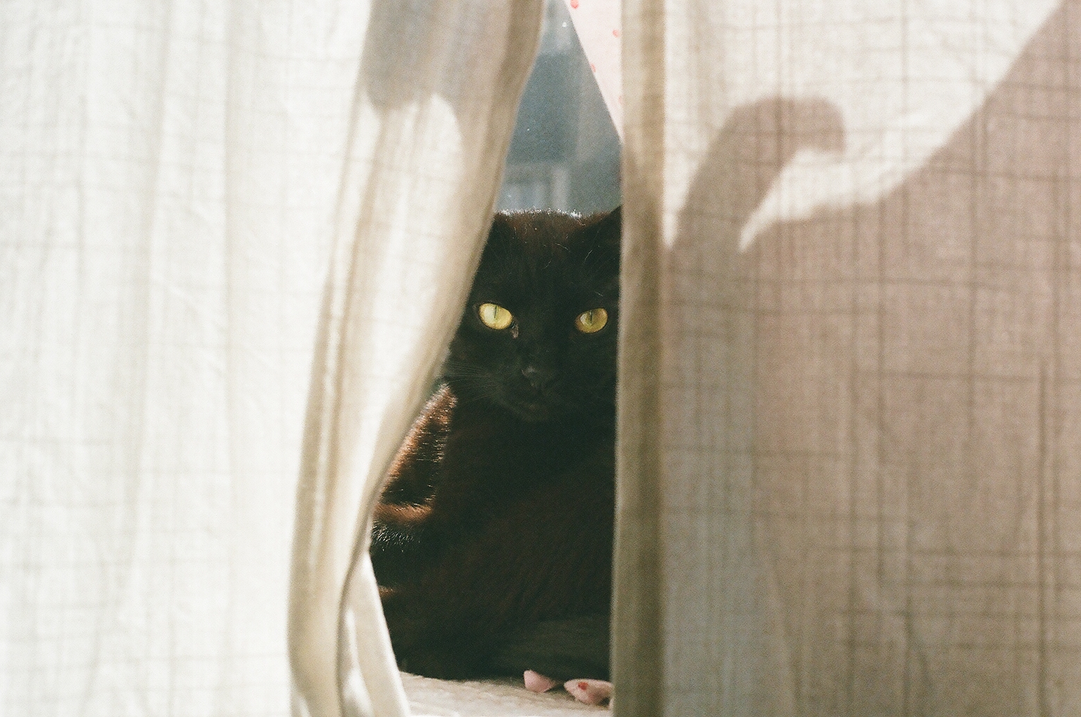Photograph — San Francisco, CA