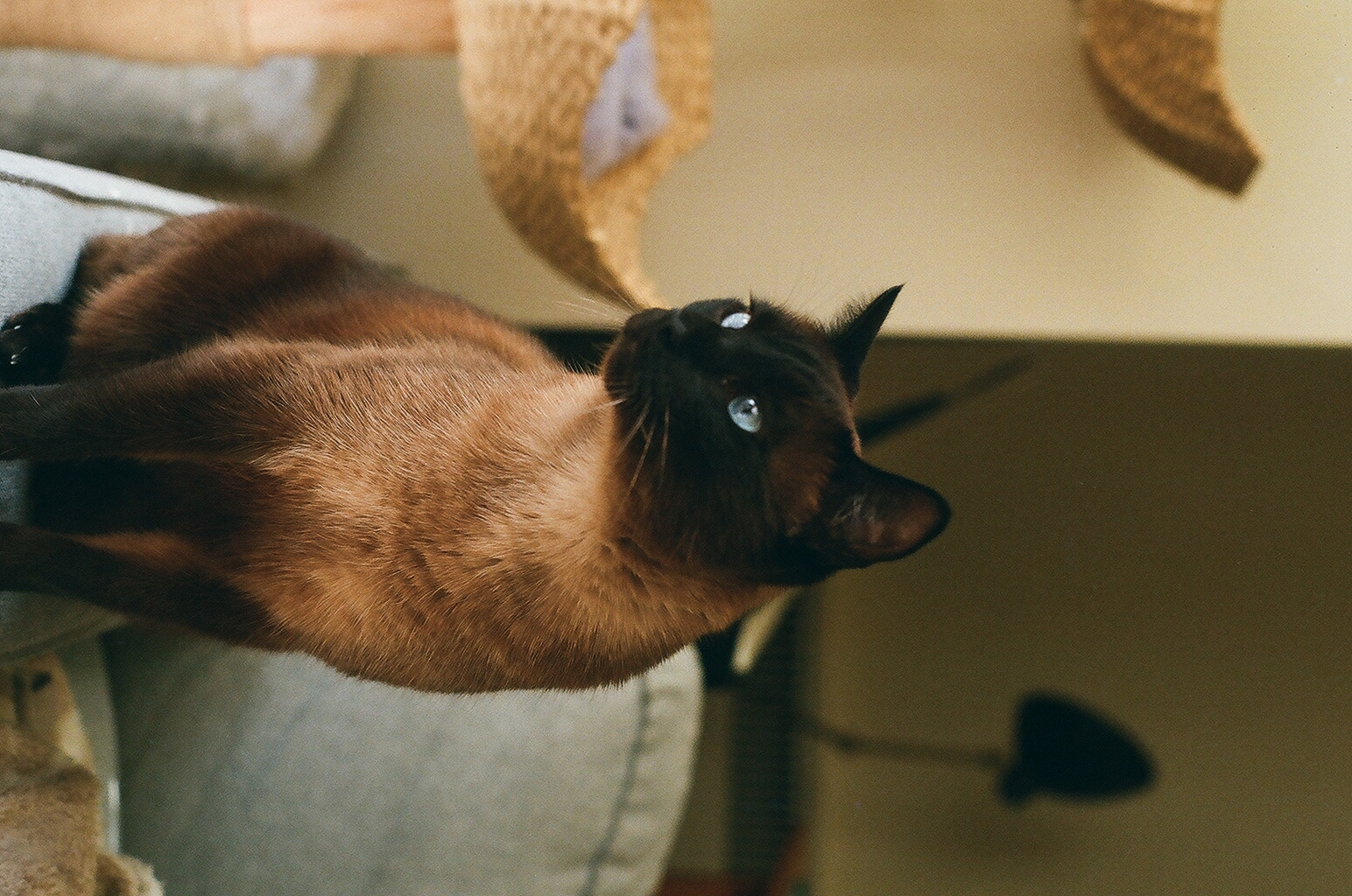 Photograph — San Francisco, CA
