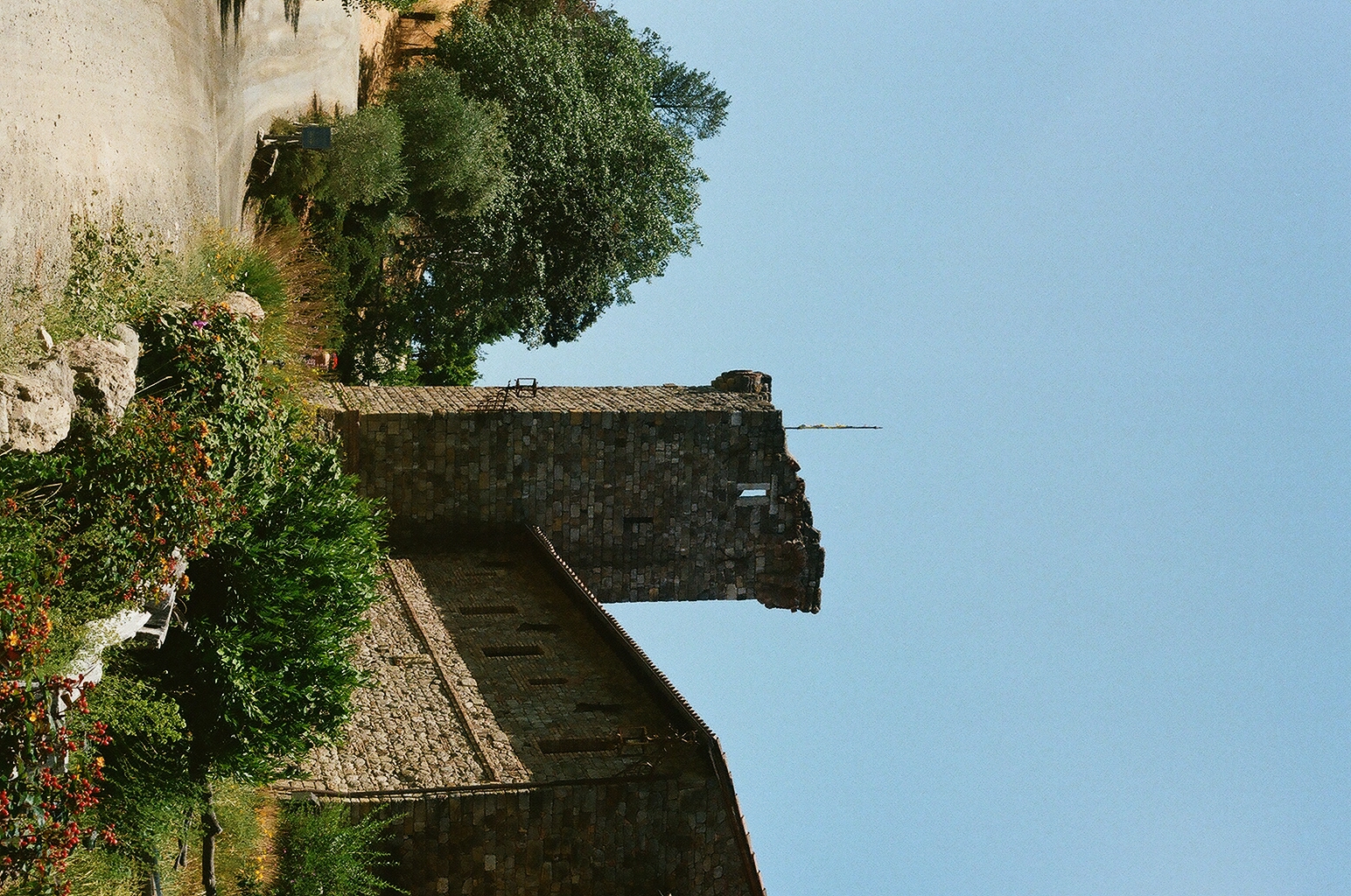Photograph — Napa Valley, CA