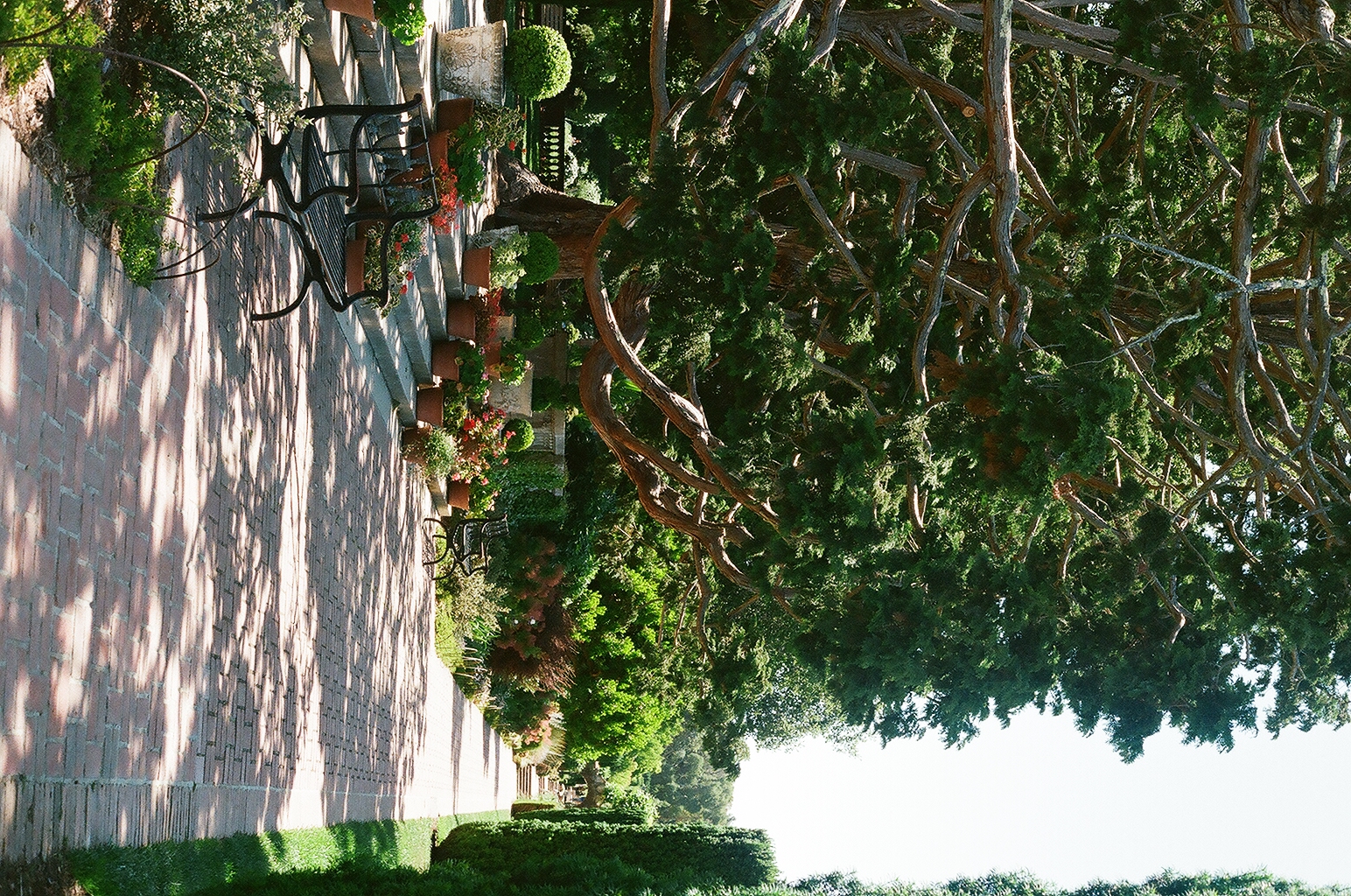 Photograph — Woodside, CA