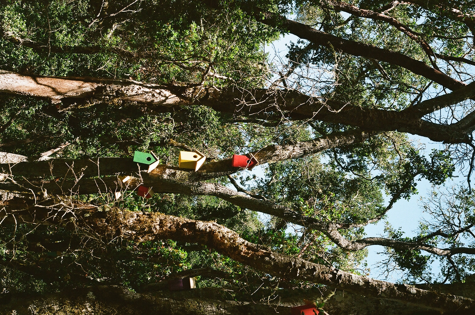 Photograph — Woodside, CA