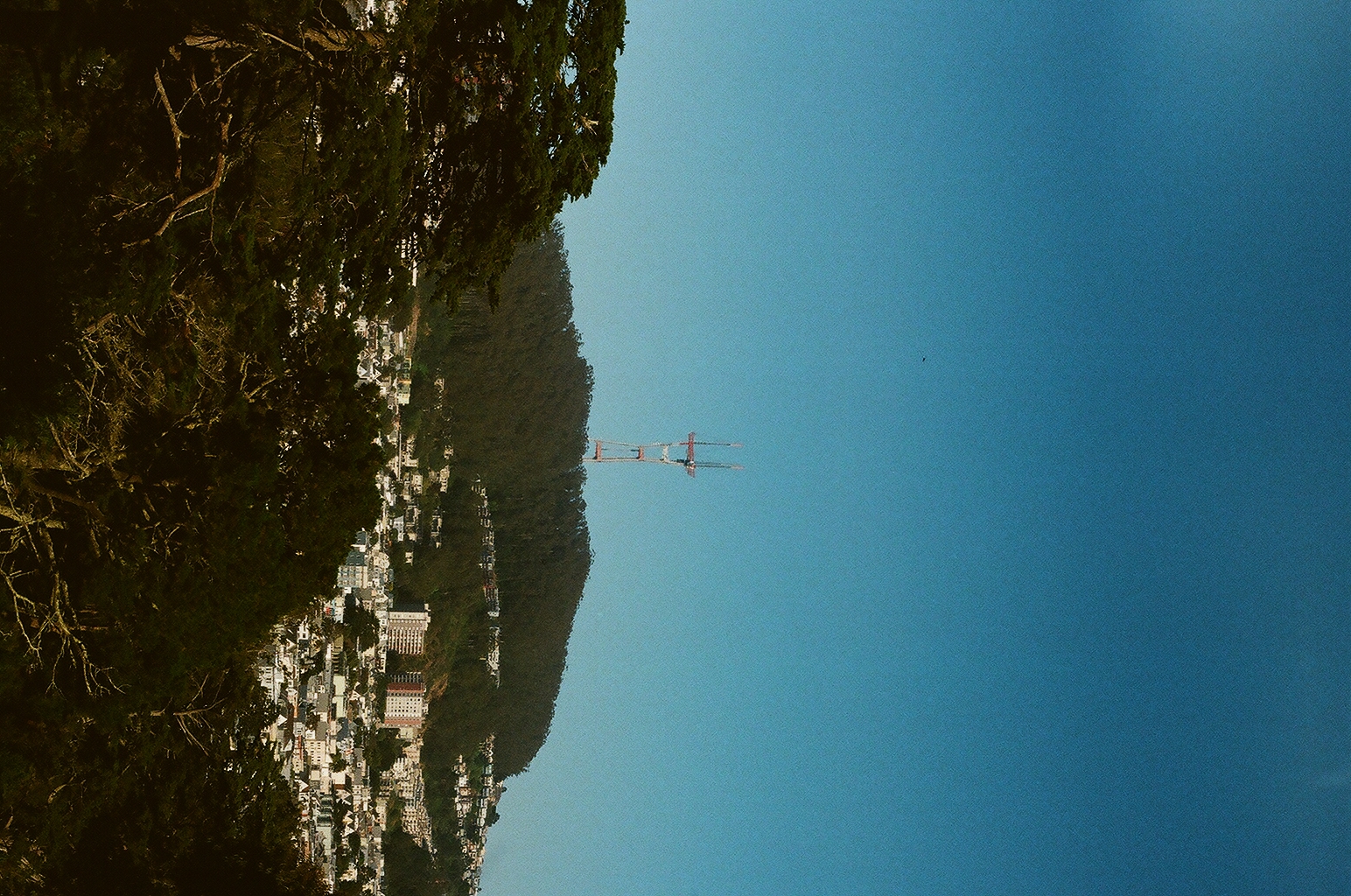 Photograph — San Francisco, CA