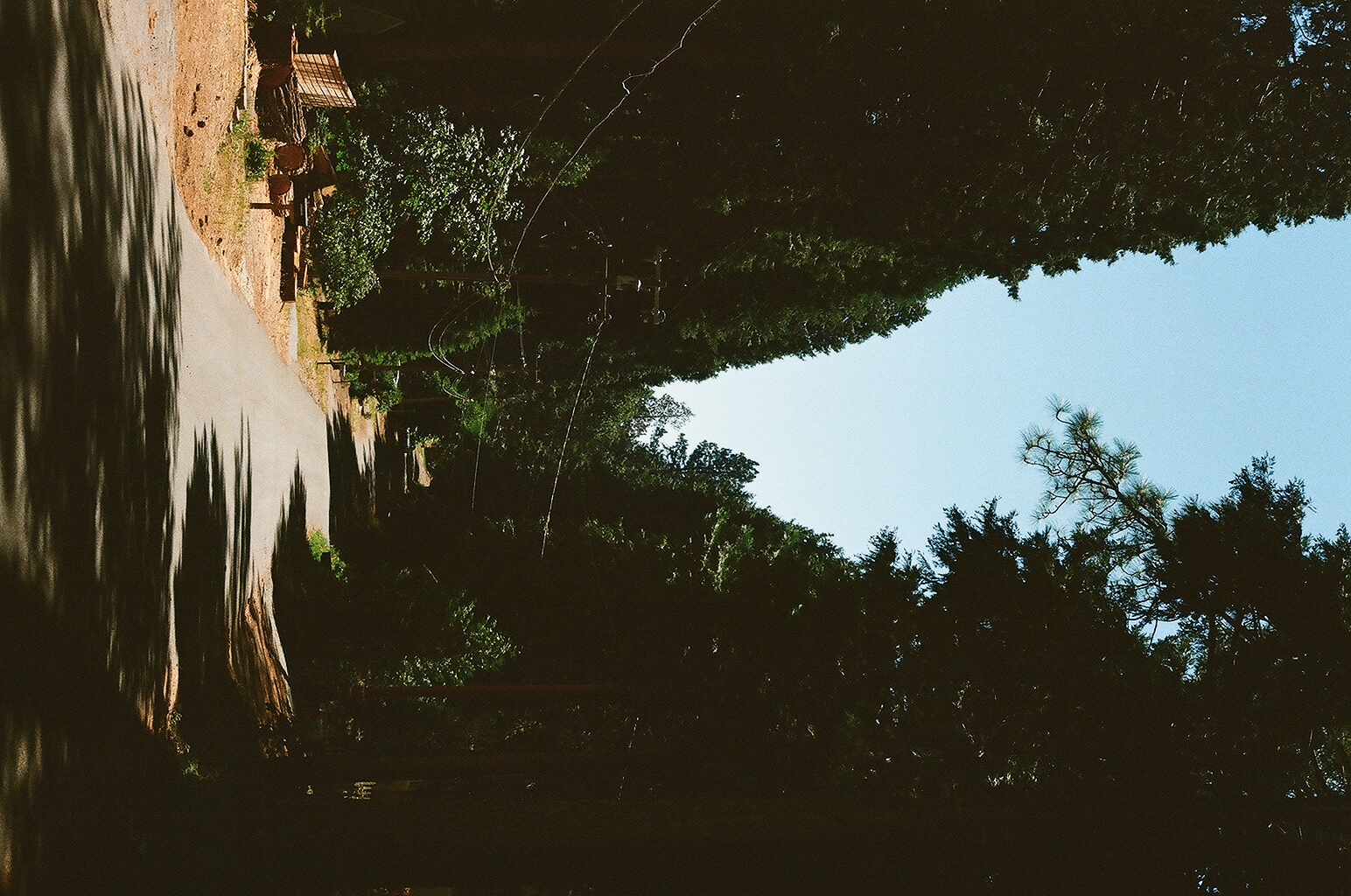 Photograph — Pollock Pines, CA
